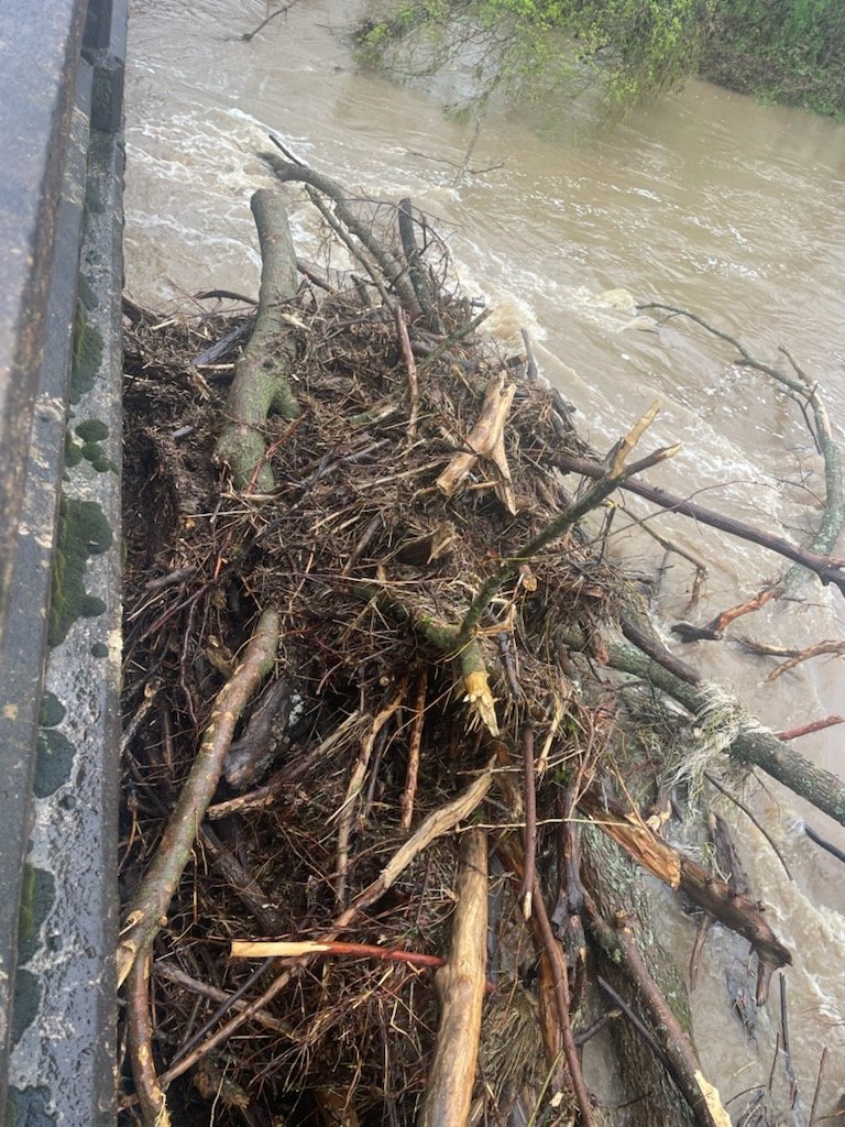 High water on the Maries River forced a snag of tree debris on the bridge on MCR 614 last week.